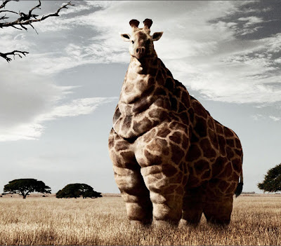 Really Funny Pictures Of Animals Funny Collection World Really Funny Pictures Of Animals Funny Collection World